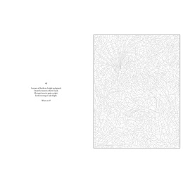 Mystery Coloring Wild Animals i gruppen Hobby & Kreativitet / Bøger / Malebøger til voksne hos Pen Store (137183)