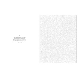 Mystery Coloring Wild Animals i gruppen Hobby & Kreativitet / Bøger / Malebøger til voksne hos Pen Store (137183)