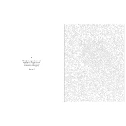 Mystery Coloring Wild Animals i gruppen Hobby & Kreativitet / Bøger / Malebøger til voksne hos Pen Store (137183)