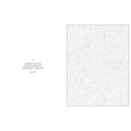 Mystery Coloring Wild Animals i gruppen Hobby & Kreativitet / Bøger / Malebøger til voksne hos Pen Store (137183)