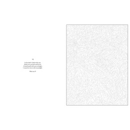 Mystery Coloring Wild Animals i gruppen Hobby & Kreativitet / Bøger / Malebøger til voksne hos Pen Store (137183)