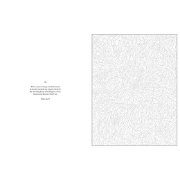 Mystery Coloring Wild Animals i gruppen Hobby & Kreativitet / Bøger / Malebøger til voksne hos Pen Store (137183)