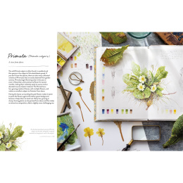 Sketching Nature i gruppen Hobby & Kreativitet / Bøger / Instruktionsbøger hos Pen Store (137184)