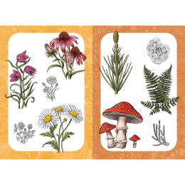 10 Step Drawing: Botanicals i gruppen Hobby & Kreativitet / Bøger / Instruktionsbøger hos Pen Store (137196)