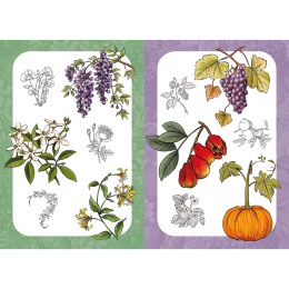 10 Step Drawing: Botanicals i gruppen Hobby & Kreativitet / Bøger / Instruktionsbøger hos Pen Store (137196)