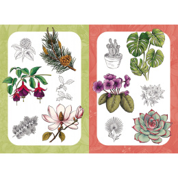 10 Step Drawing: Botanicals i gruppen Hobby & Kreativitet / Bøger / Instruktionsbøger hos Pen Store (137196)