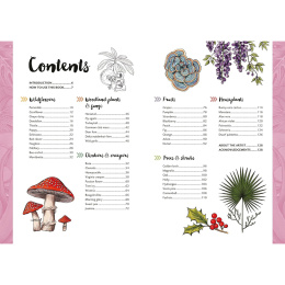 10 Step Drawing: Botanicals i gruppen Hobby & Kreativitet / Bøger / Instruktionsbøger hos Pen Store (137196)