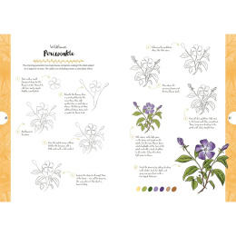 10 Step Drawing: Botanicals i gruppen Hobby & Kreativitet / Bøger / Instruktionsbøger hos Pen Store (137196)