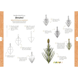 10 Step Drawing: Botanicals i gruppen Hobby & Kreativitet / Bøger / Instruktionsbøger hos Pen Store (137196)