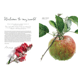 Anna Mason's Watercolour World i gruppen Hobby & Kreativitet / Bøger / Inspirationsbøger hos Pen Store (137202)