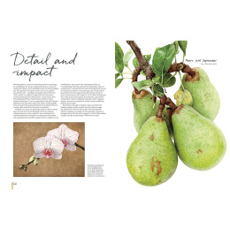 Anna Mason's Watercolour World i gruppen Hobby & Kreativitet / Bøger / Inspirationsbøger hos Pen Store (137202)