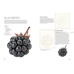 Anna Mason's Watercolour World i gruppen Hobby & Kreativitet / Bøger / Inspirationsbøger hos Pen Store (137202)