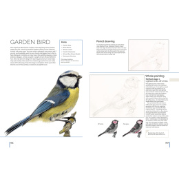 Anna Mason's Watercolour World i gruppen Hobby & Kreativitet / Bøger / Inspirationsbøger hos Pen Store (137202)