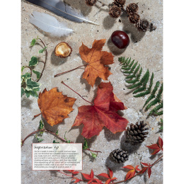 Anna Mason's Watercolour World i gruppen Hobby & Kreativitet / Bøger / Inspirationsbøger hos Pen Store (137202)