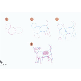 Draw 30: Animals i gruppen Hobby & Kreativitet / Bøger / Instruktionsbøger hos Pen Store (137210)