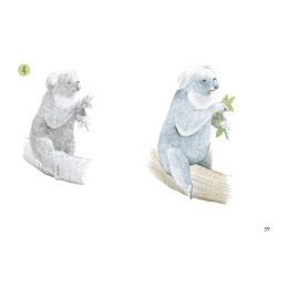 Draw 30: Animals i gruppen Hobby & Kreativitet / Bøger / Instruktionsbøger hos Pen Store (137210)