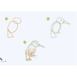 Draw 30: Animals i gruppen Hobby & Kreativitet / Bøger / Instruktionsbøger hos Pen Store (137210)