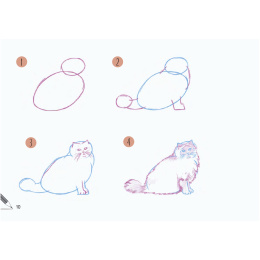 Draw 30: Cats i gruppen Hobby & Kreativitet / Bøger / Instruktionsbøger hos Pen Store (137211)