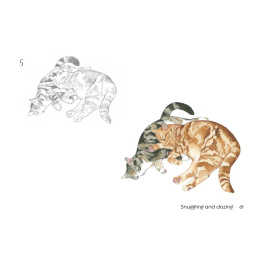 Draw 30: Cats i gruppen Hobby & Kreativitet / Bøger / Instruktionsbøger hos Pen Store (137211)
