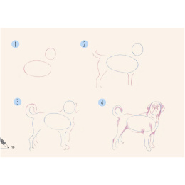 Draw 30: Dogs i gruppen Hobby & Kreativitet / Bøger / Instruktionsbøger hos Pen Store (137213)