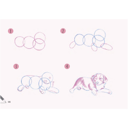 Draw 30: Dogs i gruppen Hobby & Kreativitet / Bøger / Instruktionsbøger hos Pen Store (137213)