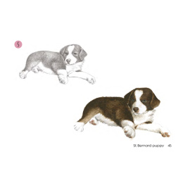 Draw 30: Dogs i gruppen Hobby & Kreativitet / Bøger / Instruktionsbøger hos Pen Store (137213)