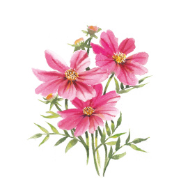 Draw 30: Flowers i gruppen Hobby & Kreativitet / Bøger / Instruktionsbøger hos Pen Store (137215)