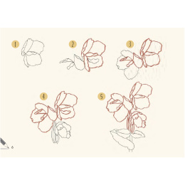 Draw 30: Flowers i gruppen Hobby & Kreativitet / Bøger / Instruktionsbøger hos Pen Store (137215)