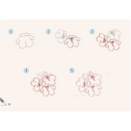 Draw 30: Flowers i gruppen Hobby & Kreativitet / Bøger / Instruktionsbøger hos Pen Store (137215)