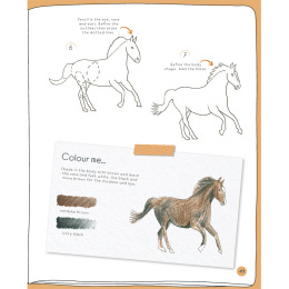 Draw in 10 Minutes: Animals i gruppen Hobby & Kreativitet / Bøger / Instruktionsbøger hos Pen Store (137218)