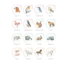 Draw in 10 Minutes: Animals i gruppen Hobby & Kreativitet / Bøger / Instruktionsbøger hos Pen Store (137218)