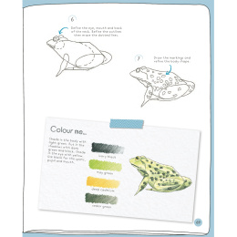 Draw in 10 Minutes: Animals i gruppen Hobby & Kreativitet / Bøger / Instruktionsbøger hos Pen Store (137218)