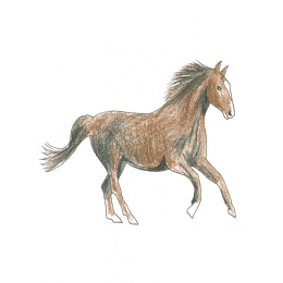 Draw in 10 Minutes: Animals i gruppen Hobby & Kreativitet / Bøger / Instruktionsbøger hos Pen Store (137218)