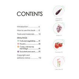 Draw in 10 Minutes: Botanicals i gruppen Hobby & Kreativitet / Bøger / Instruktionsbøger hos Pen Store (137219)