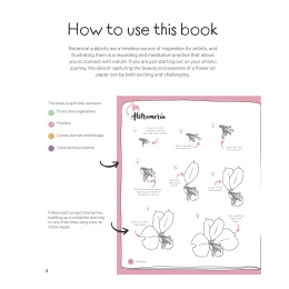 Draw in 10 Minutes: Botanicals i gruppen Hobby & Kreativitet / Bøger / Instruktionsbøger hos Pen Store (137219)