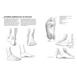 Drawing: A Complete Guide i gruppen Hobby & Kreativitet / Bøger / Inspirationsbøger hos Pen Store (137220)