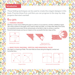 Flower Power! 25 Origami Projects i gruppen Hobby & Kreativitet / Bøger / Instruktionsbøger hos Pen Store (137221)