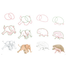 How to Draw: Baby Animals i gruppen Hobby & Kreativitet / Bøger / Instruktionsbøger hos Pen Store (137223)