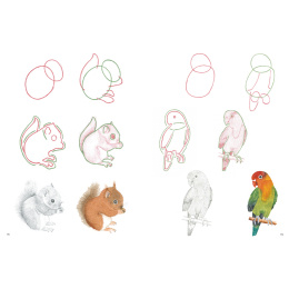 How to Draw: Baby Animals i gruppen Hobby & Kreativitet / Bøger / Instruktionsbøger hos Pen Store (137223)