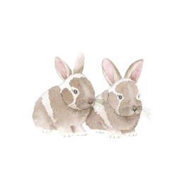 How to Draw: Baby Animals i gruppen Hobby & Kreativitet / Bøger / Instruktionsbøger hos Pen Store (137223)