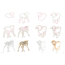 How to Draw: Baby Animals i gruppen Hobby & Kreativitet / Bøger / Instruktionsbøger hos Pen Store (137223)