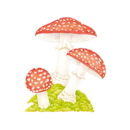 How to Draw: Nature i gruppen Hobby & Kreativitet / Bøger / Instruktionsbøger hos Pen Store (137224)