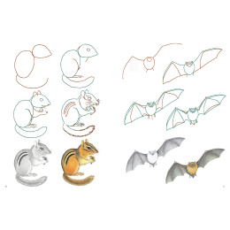 How to Draw: Nature i gruppen Hobby & Kreativitet / Bøger / Instruktionsbøger hos Pen Store (137224)