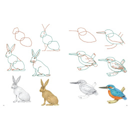 How to Draw: Nature i gruppen Hobby & Kreativitet / Bøger / Instruktionsbøger hos Pen Store (137224)