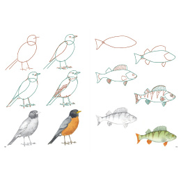 How to Draw: Nature i gruppen Hobby & Kreativitet / Bøger / Instruktionsbøger hos Pen Store (137224)