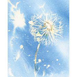 Loose and Lively Flowers in Watercolour, Inks & Mixed Media i gruppen Hobby & Kreativitet / Bøger / Inspirationsbøger hos Pen Store (137226)