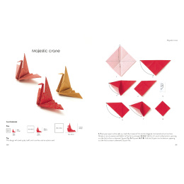 Origami for the Absolute Beginner i gruppen Hobby & Kreativitet / Bøger / Instruktionsbøger hos Pen Store (137227)