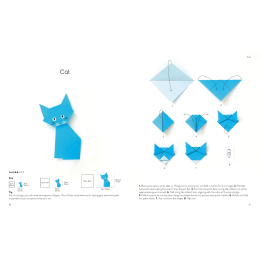 Origami for the Absolute Beginner i gruppen Hobby & Kreativitet / Bøger / Instruktionsbøger hos Pen Store (137227)