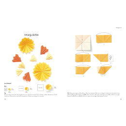 Origami for the Absolute Beginner i gruppen Hobby & Kreativitet / Bøger / Instruktionsbøger hos Pen Store (137227)