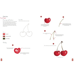 Paint 50: Watercolour Nature i gruppen Hobby & Kreativitet / Bøger / Instruktionsbøger hos Pen Store (137229)